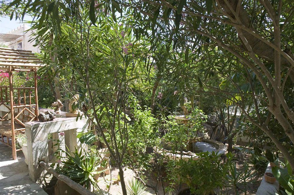 L'Oasi Villaggio Albergo Favignana Eksteriør bilde